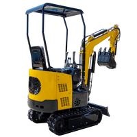 Excavator Mini MK10 dengan Daya Gali Tinggi, Kapasitas Bucket 0,025m untuk Proyek Konstruksi Kecil & Penggunaan Rumah Tangga