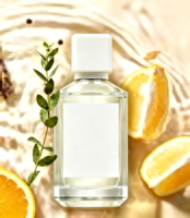 Parfum en spray élégant et haut de gamme aux notes d'agrumes, d'ambre et de bois, longue tenue, unisexe, parfum de créateur en marque blanche, vente en gros