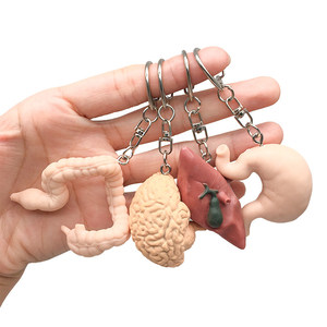 Modèle d'organes internes simulés : Cœur, Foie, Rate, <span class=keywords><strong>Poumon</strong></span> et Rein – Modèle anatomique cardiaque pédagogique avec pendentif porte-clés - Product Image 4