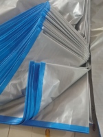 Bâche en polyéthylène enduite de PE bleu argenté imperméable, bâche PE bleue pour jardin, auvent extérieur, abri de camion, maison