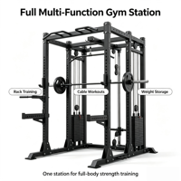 DDP Power Rack avec deux colonnes de poids de 120 kg, colonnes de câbles, rack à squats commercial, machine Smith de gym grand format pour usage domestique et professionnel