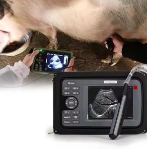 Escáner de ultrasonido veterinario de Alta Frecuencia-Resolución de 1280x1024 para animales pequeños - Product Image 4