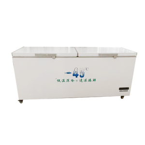 VICTORY KITCHEN 50% off Commercial Ultra-low Temperature Freezer Ice Cream Machine <b>Other</b> <b>Hotel</b> & <b>Restaurant</b> <b>Supplies</b> - Product Image 2