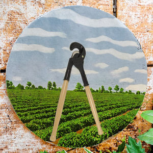 Descornador Convexo de Acero Inoxidable de Calidad Premium OEM, Instrumentos Quirúrgicos Reutilizables, Herramienta Especializada, Cortador de Cuernos Limpio y Eficiente - Product Image 3