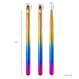 Pinceau pour nail art, stylo de dessin pour gel UV, manche en plastique et métal, prise en main confortable, outil de manucure, logo personnalisé, vente en gros - Product Image 4