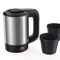 Portable Mini Électrique 0.5L En Acier Inoxydable Bouilloire Et Verre Cafetière Automatique 12V/24V/220V pour Voiture Voyage & Usage Domestique