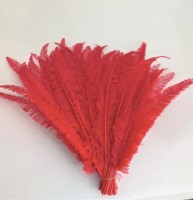 Plumes d'autruche Nandu en gros, noires, bleues et blanches, pour la décoration artisanale, les fêtes, les carnavals, les costumes, la décoration intérieure et les mariages