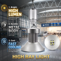 AMZHO Project Lighting Installation Lighting Lifter Prix usine Haute luminosité Aluminium 100W 150W 200W Projecteur industriel pour hauts plafonds