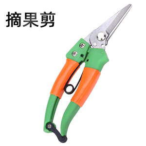 Green-handled Long Straight-tipped Fruit Picking Shears Stainless Steel Blade For Oranges Vegetables Grapes Gardening Pruning - Product Image 1