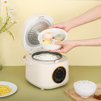 Autocuiseur Électrique Intelligent Multifonctionnel en Gros, Capacité 1.0L-2.8L, Contrôle Numérique, Cuve Antiadhésive, Cuisson Rapide, ODM