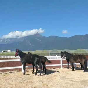 Высокое качество, ПВХ, ограждение для лошадей, ультрафиолетовый, сверхмощный белый цвет, Ферма для загона для лошадей, ограждение из ПВХ - Product Image 3