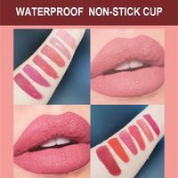 Vente en Gros Votre Logo Lipgloss 6 Couleurs Rouge à Lèvres Liquide Mat Imperméable Longue Tenue Cosmétiques Marque Privée Ensemble Gloss à Lèvres