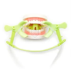 Vendita all'ingrosso guancia divaricatore di aspirazione-Dentale Ortodontico Uso Lingua Guardia Guancia Divaricatore con Asciutto Campo Sistema di Tubi di aspirazione Verde/colore Blu per scegliere