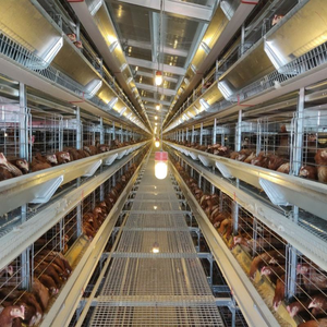 Ferme d'élevage de poulets à environnement contrôlé Poulet galvanisé Poule de ponte Volaille Cage <span class=keywords><strong>Poules</strong></span> à œufs <span class=keywords><strong>Abri</strong></span> préfabriqué pour bétail Canard - Product Image 2