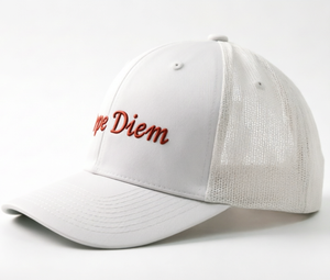 Casquette de camionneur à 6 panneaux brodée personnalisable, élégante et confortable, avec visière incurvée, idéale pour les activités de plein air - Product Image 4