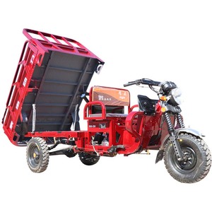 Tricycle motorisé à essence 175cc pour adultes, à trois roues, pour le transport de marchandises, adapté aux personnes à mobilité réduite - Product Image 2
