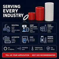 Joint torique en silicone, diamètre extérieur de 15 mm à 600 mm, épaisseur de 5 mm, joint d'étanchéité en caoutchouc rouge, taille personnalisée, directement de l'usine, marque Dongting, Chine