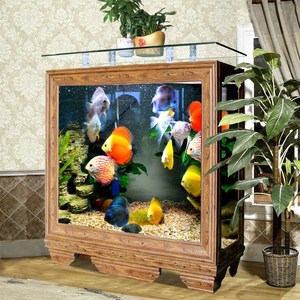 Personnalisé 6ft 300 Gallon Ultra-Clear Low Iron Glass Grand Reef Aquarium <span class=keywords><strong>Fish</strong></span> <span class=keywords><strong>Tank</strong></span> 750mm/30 Inches Profondeur pour le salon - Product Image 1