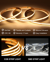Bande LED COB flexible RAYMATES 8 mm 3000 K blanc chaud, garantie 3 ans, IP20, 24 V, sans points lumineux