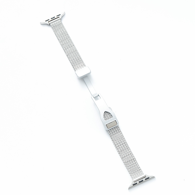 Silver magnetic clasp