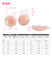 Cubiertas Adhesivas de Silicona Transparentes para Pezones de 15 cm para Mujer, con Efecto Push-Up, en Guangzhou