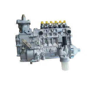 Original Fuel Injection Pump 0423 4301 04234301 BF6L914 BF6L914C TCD914 L06 engine