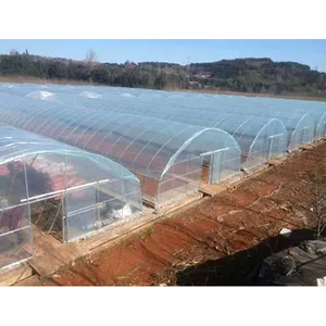 Hydroponic greenhouse plastic film poly film for greenhouse with best price