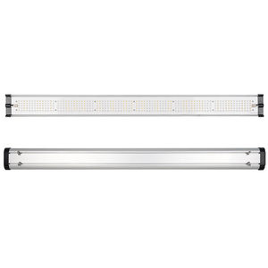 ไฟ LED แถบแสงสำหรับปลูกผักสมุนไพร microgreens 3.0สเปกตรัมเต็มรูปแบบ umol/<span class=keywords><strong>j</strong></span> <span class=keywords><strong>Samsung</strong></span> - Product Image 6
