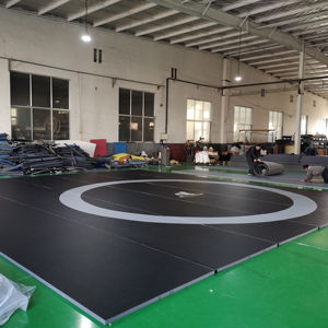 Entraînement de boxe intense de haute qualité, adapté aux combats de championnat de style <span class=keywords><strong>WWE</strong></span> et à la sécurité physique pour tapis de boxe - Product Image 1