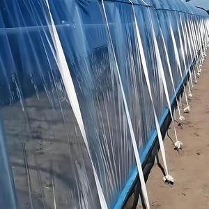 Sangle de fixation pour film de <span class=keywords><strong>serre</strong></span> en plastique (résistante au vent et à la neige, en PA, largeur 2 cm) - Product Image 3