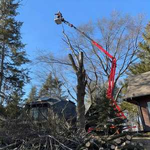 ลิฟต์ยกกระชับแบบตีนตะขาบท้องฟ้าขนาดเล็กสำหรับทำงานต้นไม้ลิฟต์ขายาว10 ~ 18เมตรเครื่องจักรสำหรับใช้ในบ้าน - Product Image 1