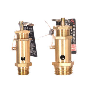 Soupape de sécurité à ressort Yanfeng 16T, filetée, réglable, pour compresseurs d'air et chaudières à vapeur - Product Image 1