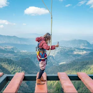 高高度に設置された観光探検橋を段階的に歩くスリリングな橋高地遊具 - Product Image 5