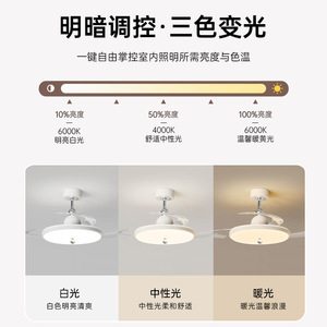 Ventilateur de plafond silencieux avec éclairage pour chambre à coucher, grand ventilateur de plafond avec éclairage pour salle à manger - Product Image 3