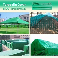 Lona Impermeable con Revestimiento de PE, Protección UV, Resistente al Viento, de Alta Resistencia, Multiusos, Económica, Verde, para Niños y Niñas