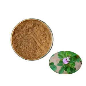 Wholesale Factory Supply High Quality Natural Kummerowia Striata Extract