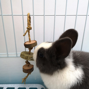 Lapins Fournitures pour petits animaux Jouet <span class=keywords><strong>de</strong></span> meulage des dents Pommes Bois Luzerne Gâteaux Pailles à mordre pour cochons d'Inde Chinchillas Hamsters Animaux <span class=keywords><strong>de</strong></span> <span class=keywords><strong>compagnie</strong></span> - Product Image 2