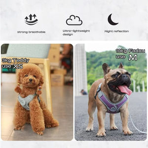 Nouvelle conception de laisse et de collier pour chien respirant avec matériau en polyester de type rameur, fermeture à boucle et à crochets - Marque GZZEST - Product Image 3