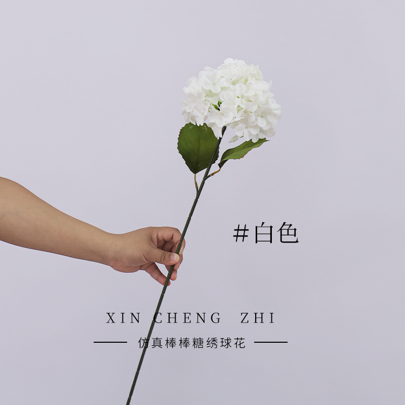 สีขาวมีใบ