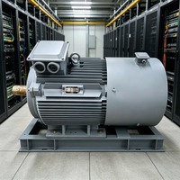 Éolienne verticale synchrone Enning 10 kW à aimant permanent, alternateur silencieux, générateur hydroélectrique, bobinage IP68