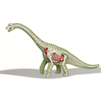 Kit de modèle de squelette de stégosaure 3D, dinosaure à assembler soi-même, anatomie du tyrannosaure, jouet éducatif STEM pour enfants