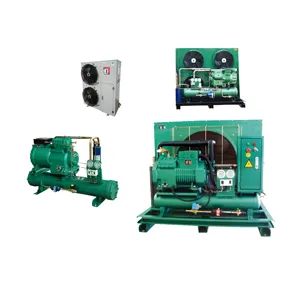 Ccsgroep Industriële Ijsmachine 380V 10-40pk Grote Capaciteit Koude Kamer Bitzer Compressor Open Type Condensatie-Eenheid