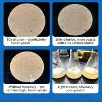 Bactéries lactiques fermentées en briques dorées, 500g, source de carbone, probiotique pour l'aquaculture et le traitement des eaux nocives, directement de l'usine