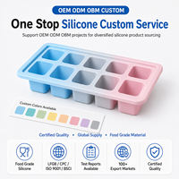 Moule à glaçons carré en silicone de qualité alimentaire OEM ODM, palette de couleurs, 10 cavités, résistant à la chaleur, pour programme de marque, ustensiles de cuisine en gros