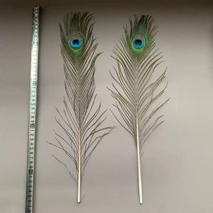 Plumes <span class=keywords><strong>de</strong></span> <span class=keywords><strong>paon</strong></span> naturelles teintes écologiquement pour les décorations <span class=keywords><strong>de</strong></span> mariage et <span class=keywords><strong>de</strong></span> la maison, bouquets et centres <span class=keywords><strong>de</strong></span> table - Product Image 3