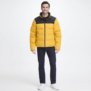 Veste matelassée d'hiver sur mesure pour hommes et femmes, OEM ODM, rembourrage en coton, col montant en toile, style streetwear - Product Image 1