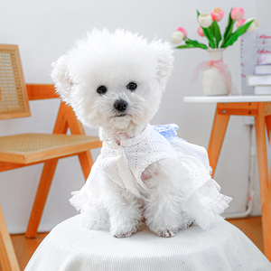 Ropa para Perros, Falda Elegante y Fresca de Poliéster para el Verano, Diseño Moderno de Año Nuevo Chino, Personalizable - Product Image 4