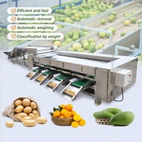 Industriële Drakenbaan Droog Fruit Olijf Perzik Areca Noot Sinaasappel Was Waxen Sorteerder En Sorteermachine