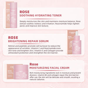 Private Label Niacinamide Verhelderende Anti Veroudering Rimpels Retinol Crème Serum <span class=keywords><strong>Rose</strong></span> Toner Gezichtsverzorging Set - Product Image 4