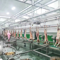 Machine d'abattage de moutons Maisheng, Ligne d'abattage de moutons, Équipement d'abattage de moutons, Équipement d'abattoir de moutons